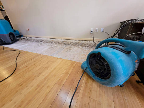 Professional Sewage Cleanup technician working in Lawrenceville, NJ